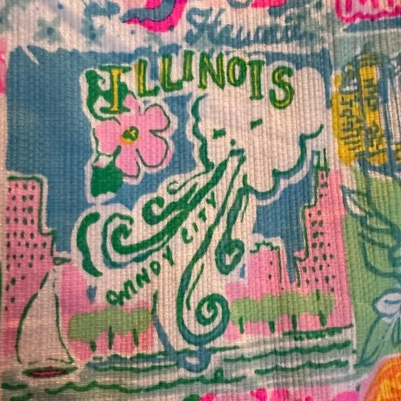 Lilly Pulitzer state of mind Skirt - Picture 10 of 12